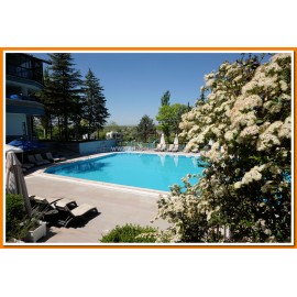 Swimming Pool Reservation 3